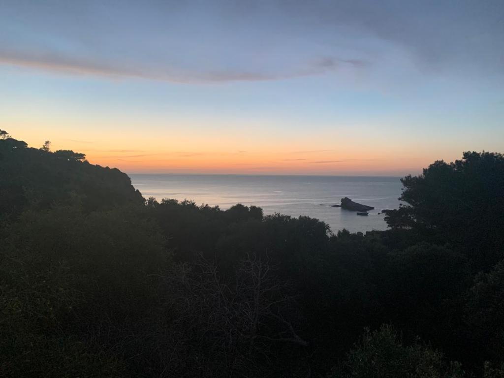 Le Case Vacanze Di Federico Terrasini Exterior foto